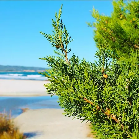 Beachfront- Sulla Villetta Indipendente * Budoni
