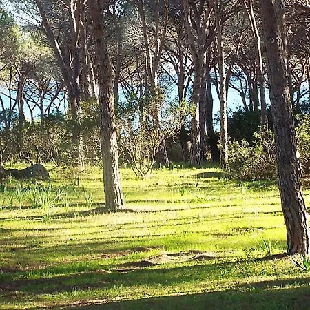 Beachfront- Sulla Villetta Indipendente Hébergement de vacances *